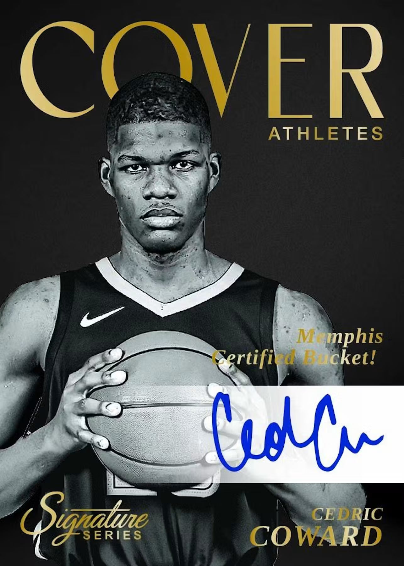 2025-26 NBA Panini Signature Series Basketball Hobby Box